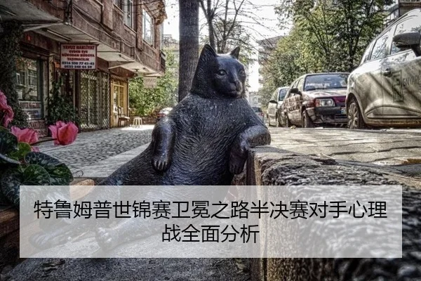 te-lu-mu-pu-shi-jin-sai-wei-mian-zhi-lu-ban-jue-sai-dui-shou-xin-li-zhan-quan-mian-fen-xi-2-747.jpg