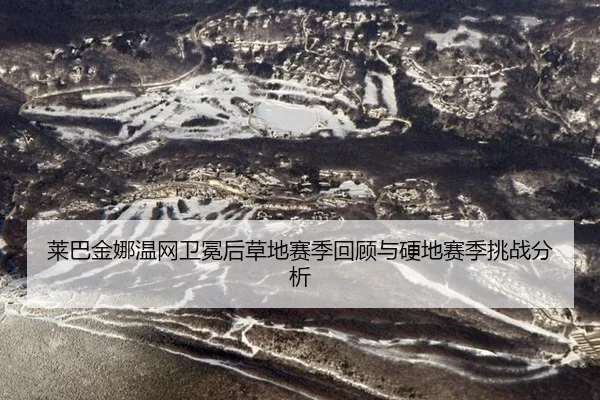 lai-ba-jin-na-wen-wang-wei-mian-hou-cao-di-sai-ji-hui-gu-yu-ying-di-sai-ji-tiao-zhan-fen-xi-2-805.jpg